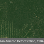 Brazilian amazon deforestation 1