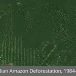 Brazilian amazon deforestation 1