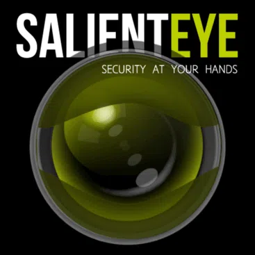 Salient eye logo