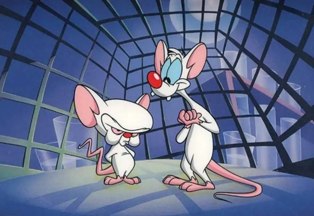 Pinky y cerebro