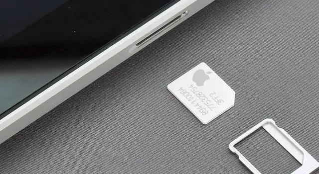 Apple sim