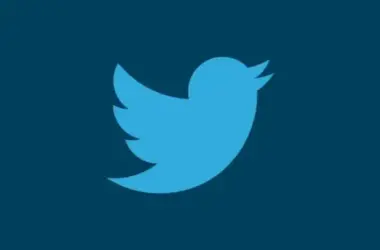 New twitter logo app novo