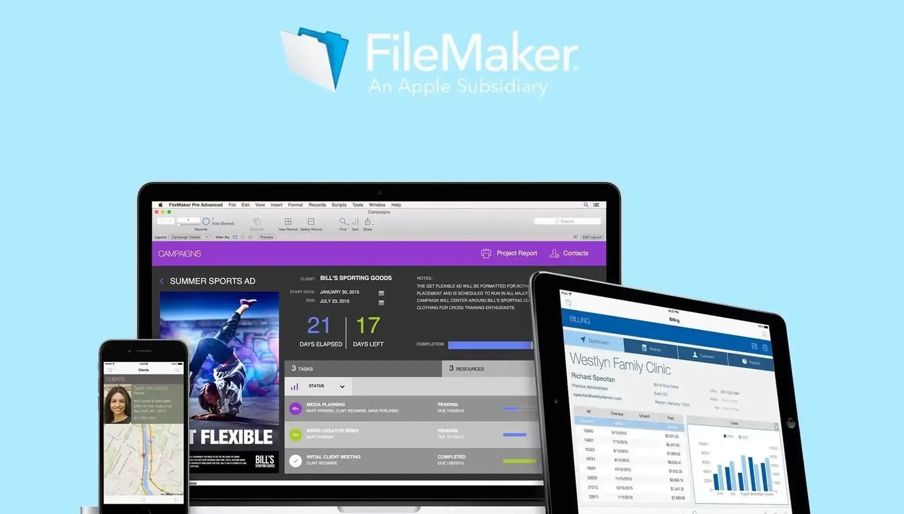 Smt filemaker15 capa