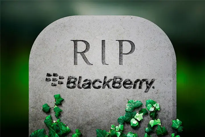 Rip blackberry