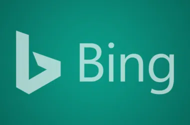 Bing1