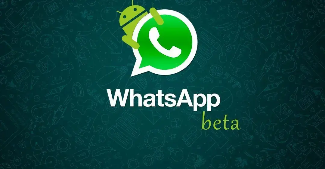 Whatsapp beta android smt