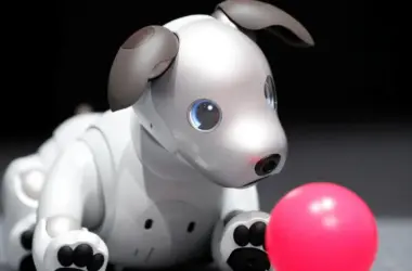 Sony aibo