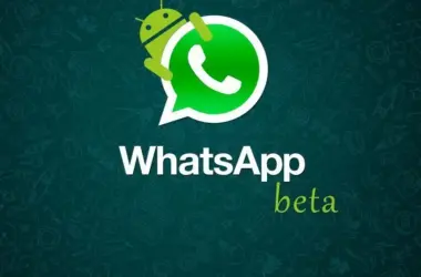 Whatsapp beta android smt