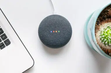 Nest mini