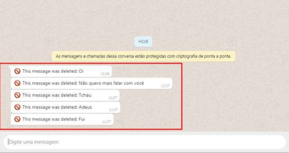 Saiba como ler conte do de mensagens apagadas no WhatsApp Web - 30