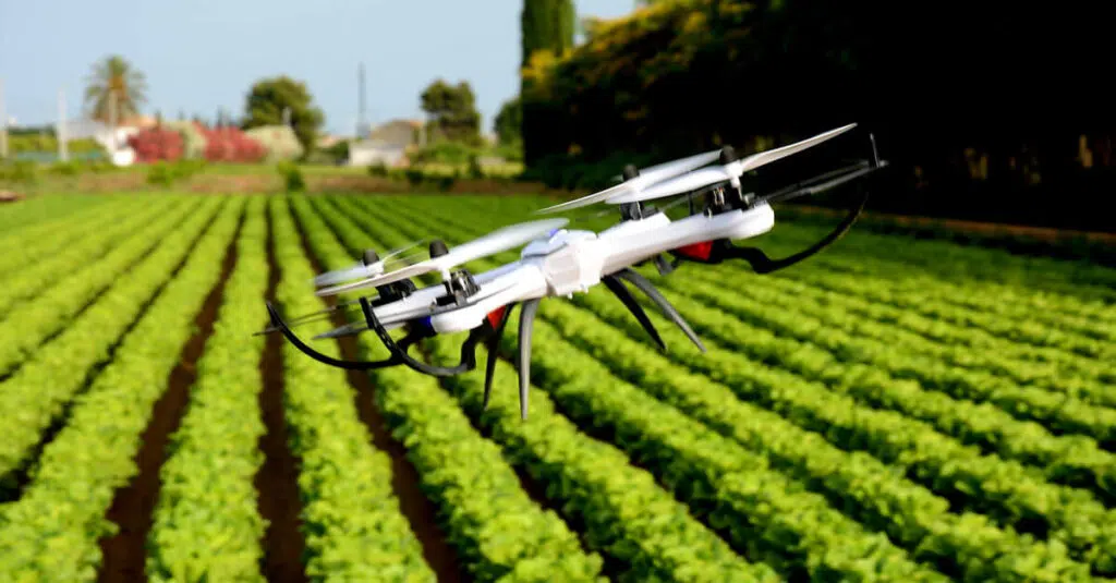 Agricultura moderna é o tema que norteia o yas