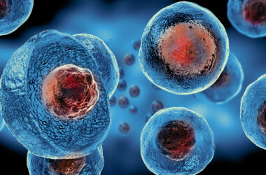 Stemcells