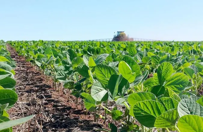 Plantação rural agropecuaria