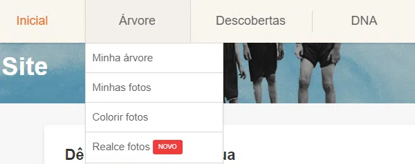 Parte superior do cabeçalho do site myheritage, apontando a categoria minha árvore e as subcategorias que se desenrolam dela