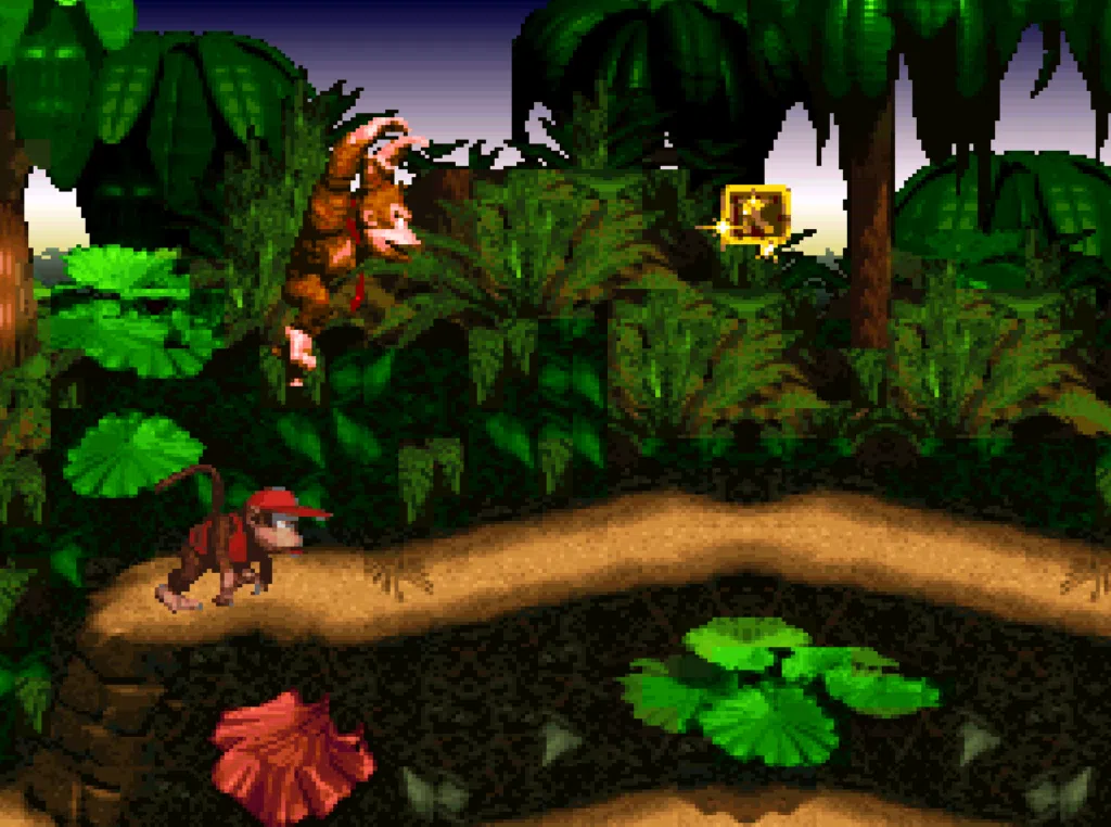 Donkey kong country