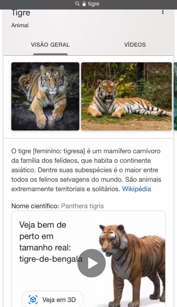 Veja animais 3d com o google