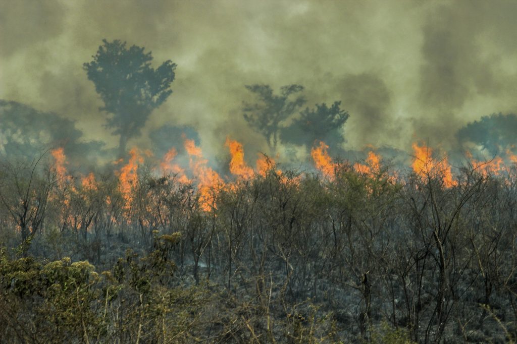 Aquecimento global  S o Paulo registra a temperatura mais quente da hist ria em 2020 - 67