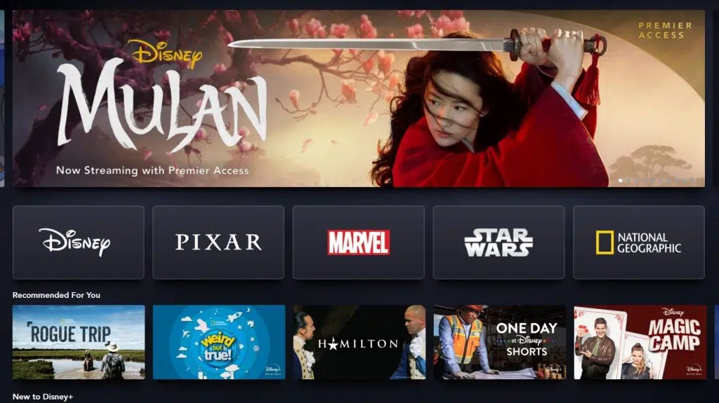 Imagem da interface do disney plus