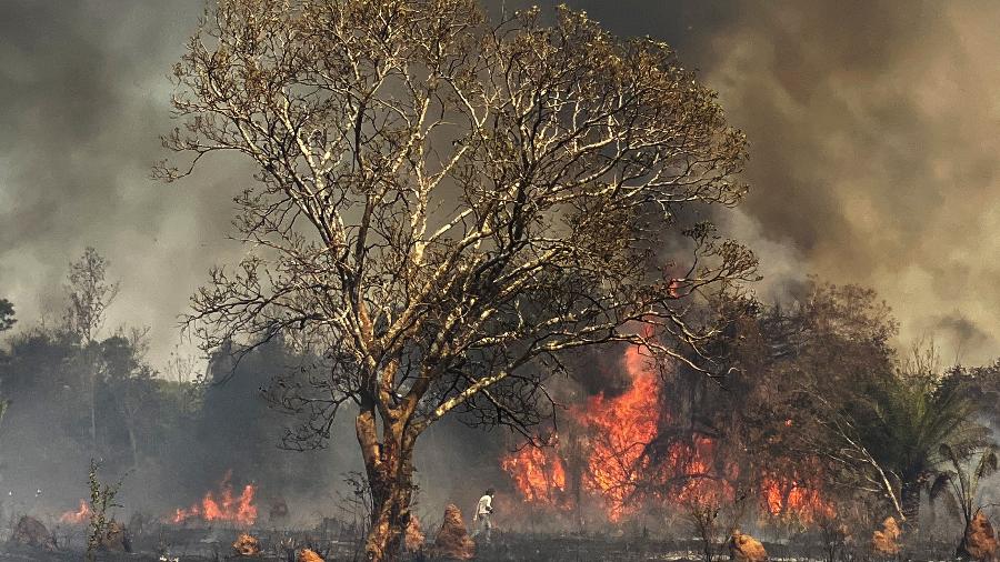 Aquecimento global  S o Paulo registra a temperatura mais quente da hist ria em 2020 - 13