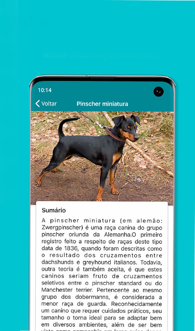 14 aplicativos para cuidar de cachorros com seu smartphone - 74