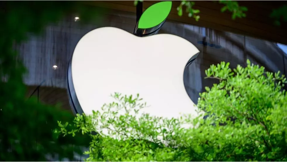 Fundo da Apple investe em projetos florestais para captura de carbono - 24