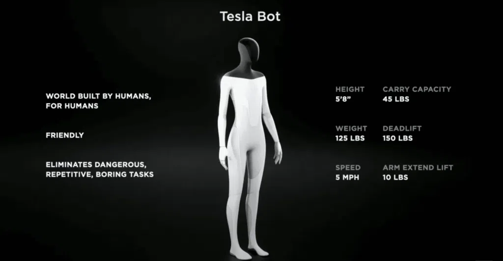 Tesla bot