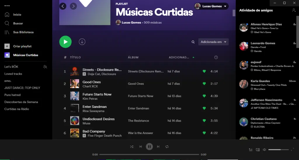 Spotify músicas curtidas