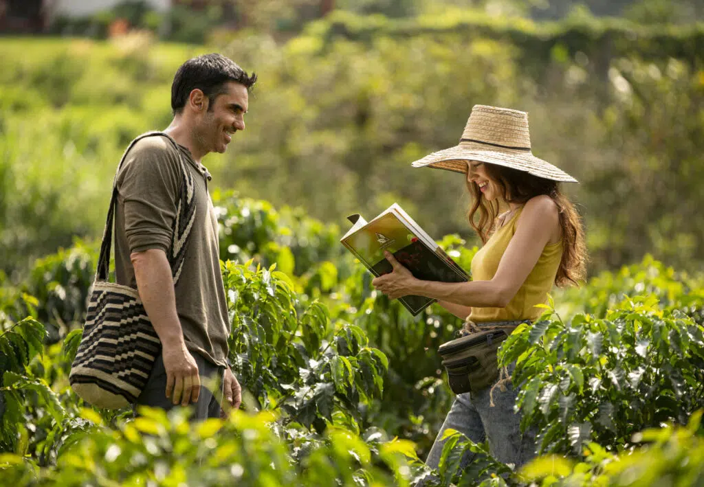 Lançamentos da netflix em dezembro - café com aroma de mulher