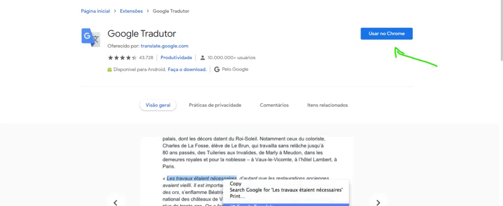 Página da extensão do google tradutor