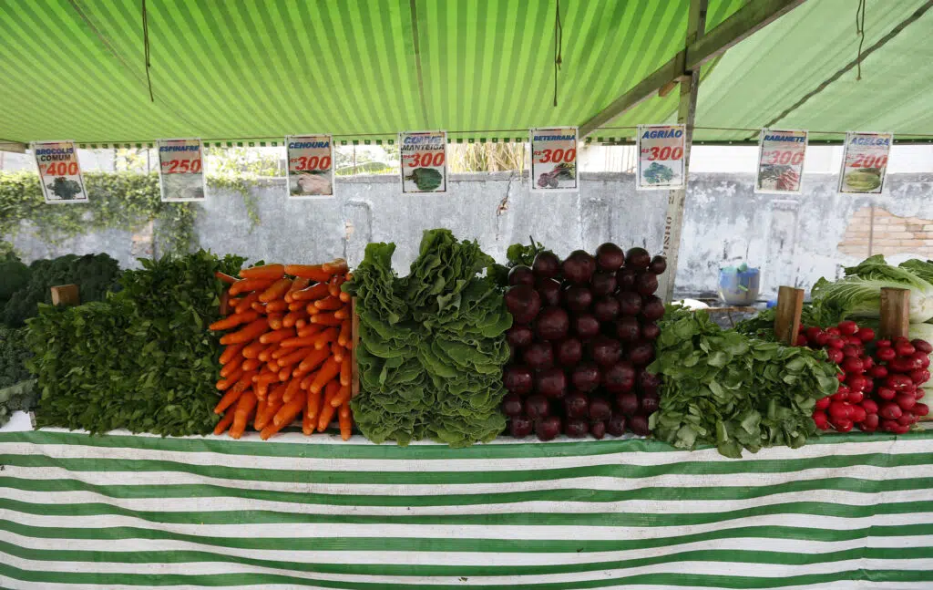 Cortar carne e laticínios faz bem à saúde? Veja o que a ciência diz