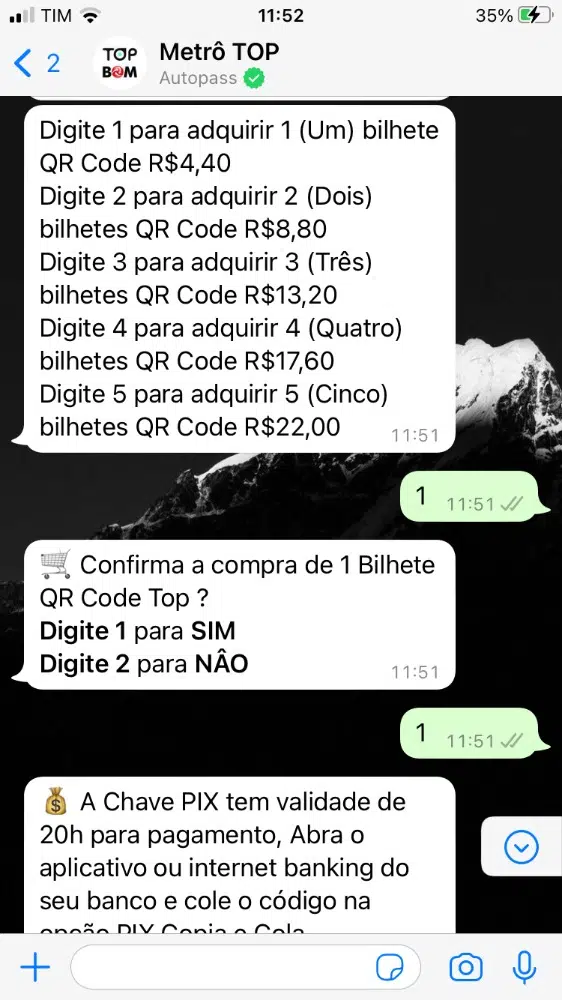 Escolha a quantidade de bilhetes únicos