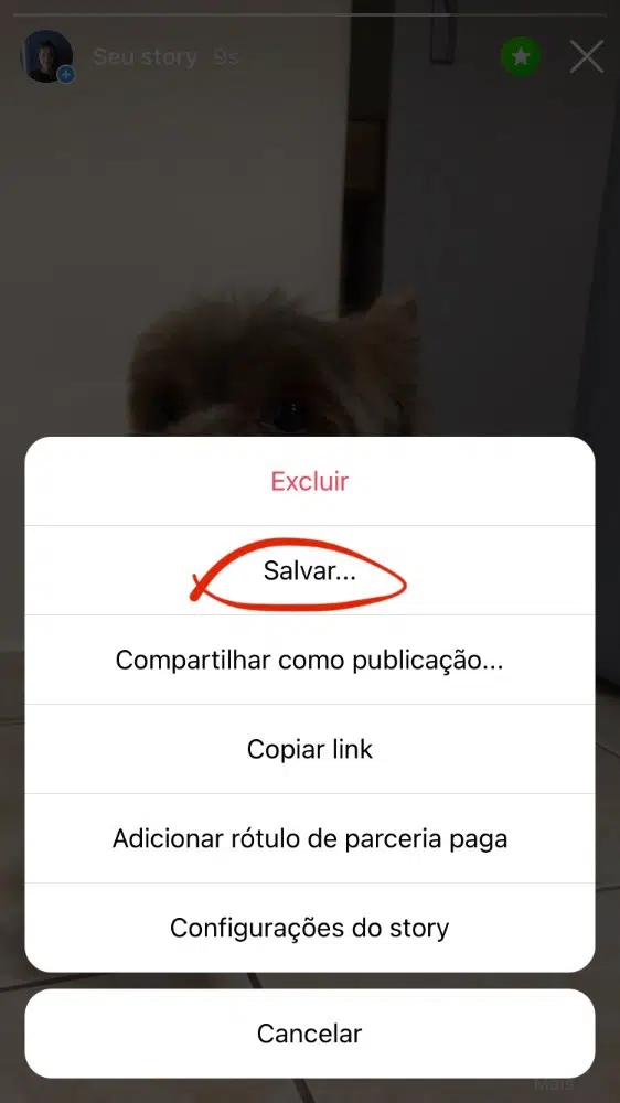 Como salvar stories manualmente