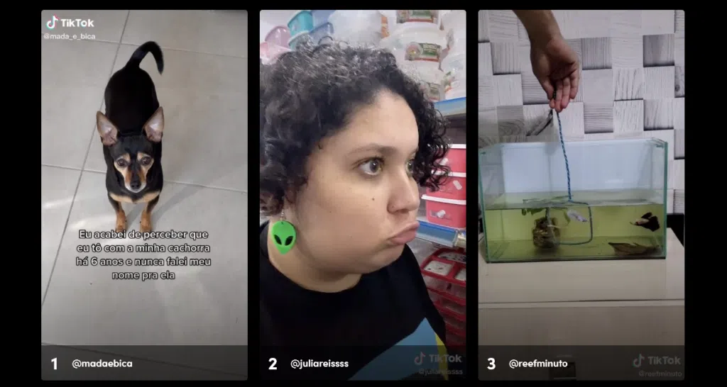 O ano no tiktok: veja a retrospectiva 2021 da rede social. Dividido em categorias, o ano no tiktok elenca quais foram os vídeos que mais se destacaram este ano. Confira com a gente!