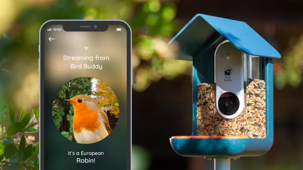 Com o aparelho bird buddy, será possível ter mais interação com pássaros, como alimentá-los e ainda assisti-los enquanto fazem sua refeição. O usuário ainda é notificado via aplicativo quando um bichinho aparece. Fonte: bird buddy.