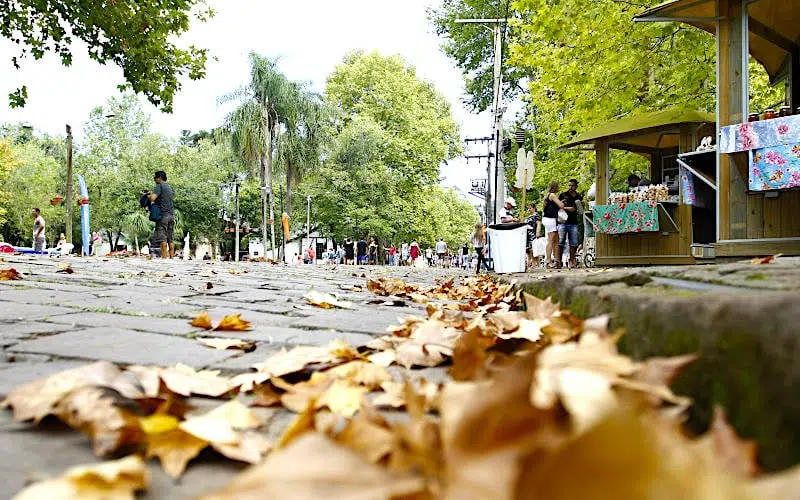 Mudanças climáticas no outono