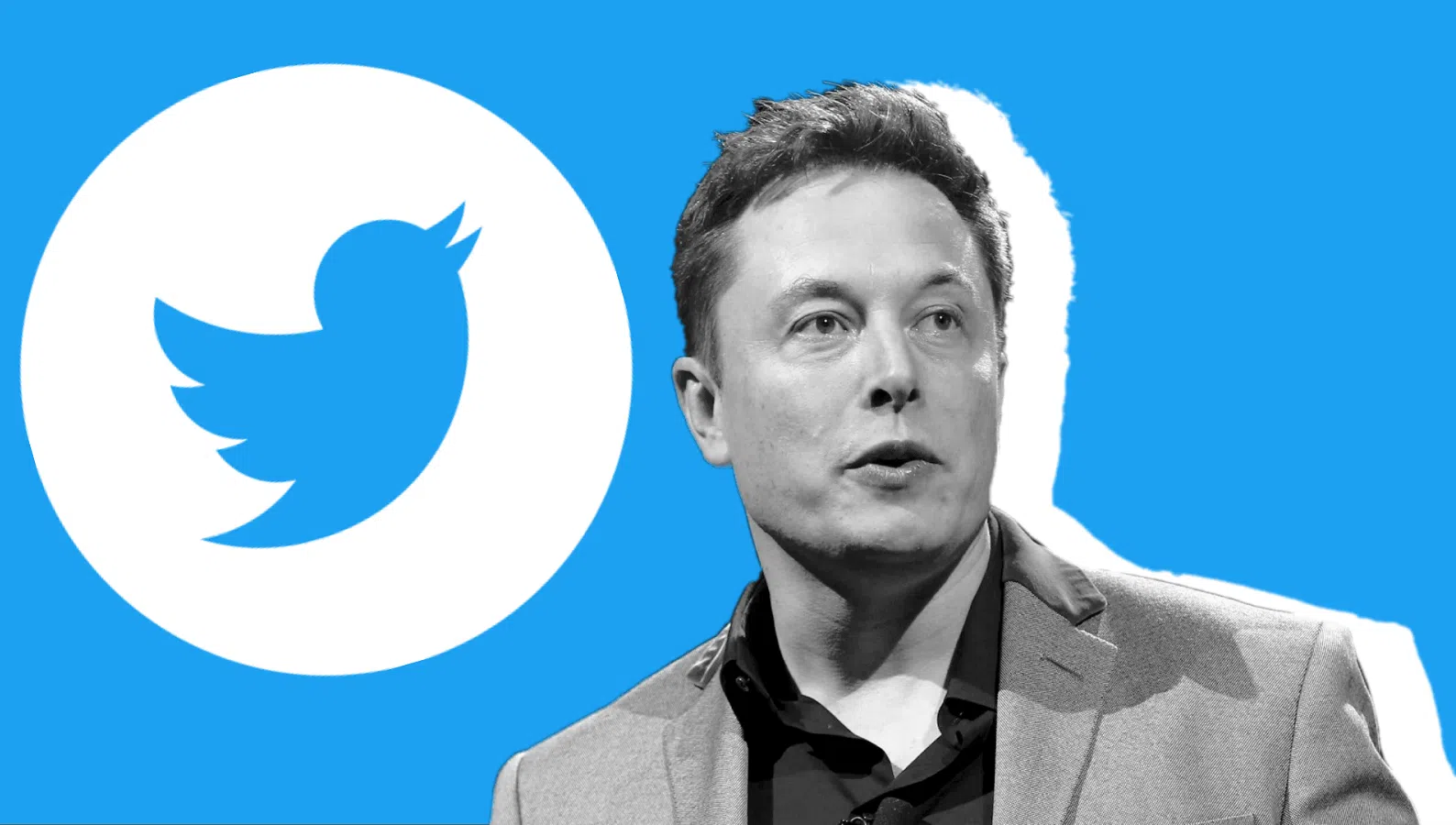 Elon musk desiste de integrar o conselho de administração do twitter