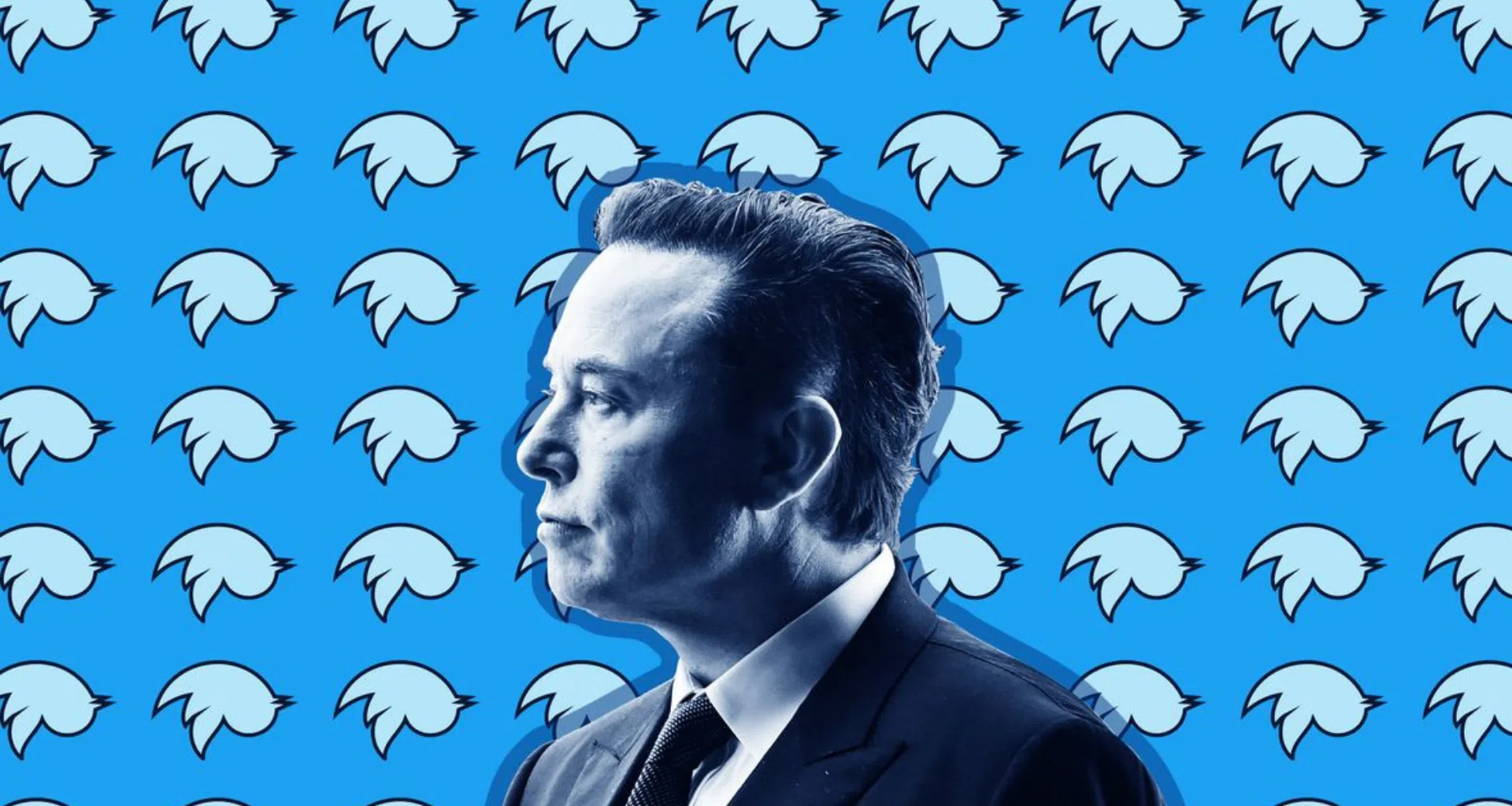 Compra do twitter pelo elon musk