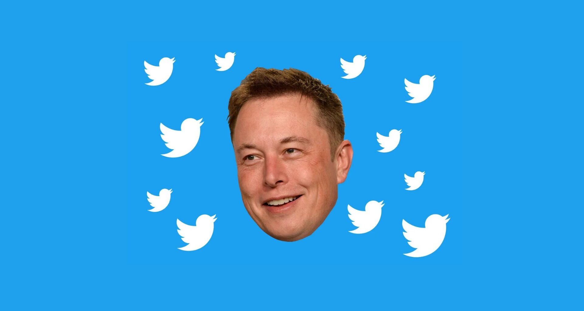 Rosto de elon musk em fundo azul com logomarca do twitter