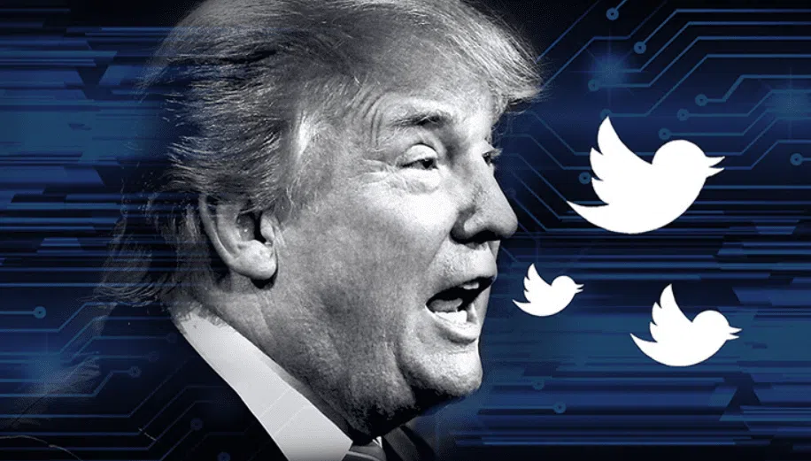 Bots do twitter - trump