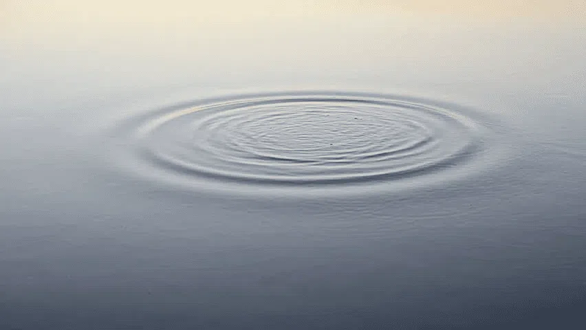 Imagem de ondas geradas pela ação de uma pedra caindo na água.