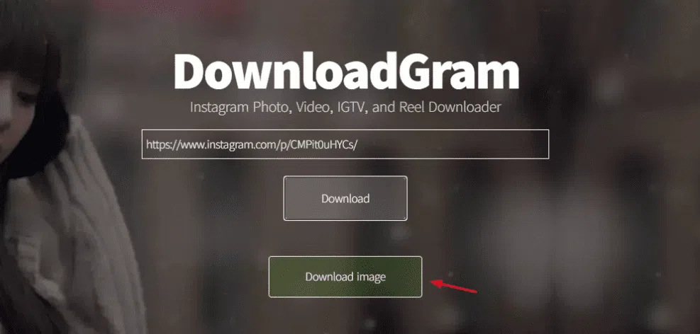 Downloadgram site download de vídeo instagram