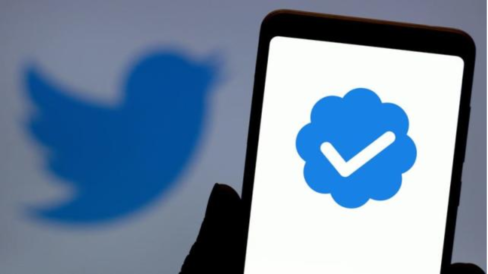 Selo de verificação "twitter blue" retornará em 29 de novembro