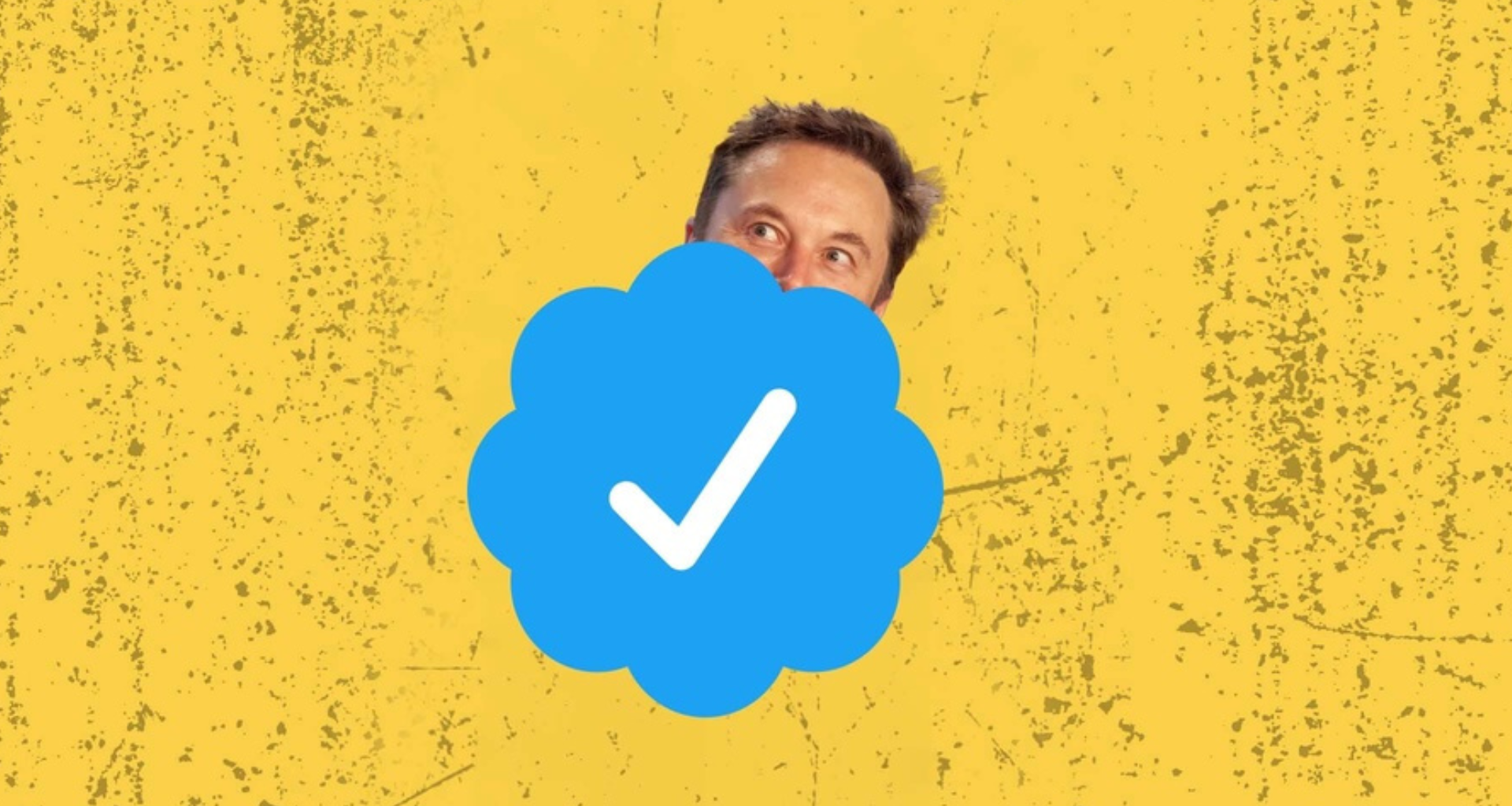 Selo de contas verificadas do twitter