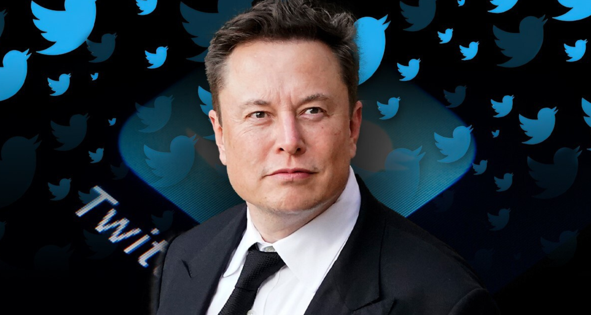 Elon musk sobre símbolos do twitter