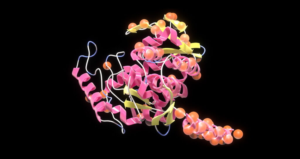 Modelo de proteína criado com apoio do nvidia bionemo