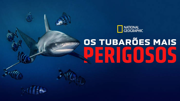 Alerta! Temporada de Tubarões (2023) Lannée du requin APPLE TV+