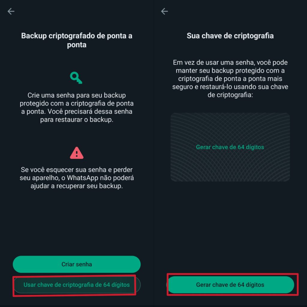 Ativação de backup criptografado no whatsapp