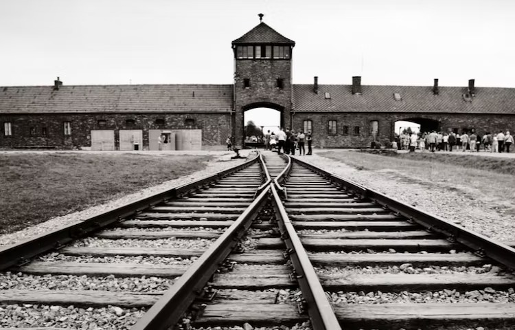 Holocausto: 27 de janeiro é o dia internacional da lembrança. Há 76 anos o exército vermelho conseguia chegar e libertar auschwitz, na polônia, o maior e mais terrível campo de concentração da alemanha nazista. Por causa dessa data, todo ano, 27 de janeiro é marcado o dia internacional de lembrança do holocausto.