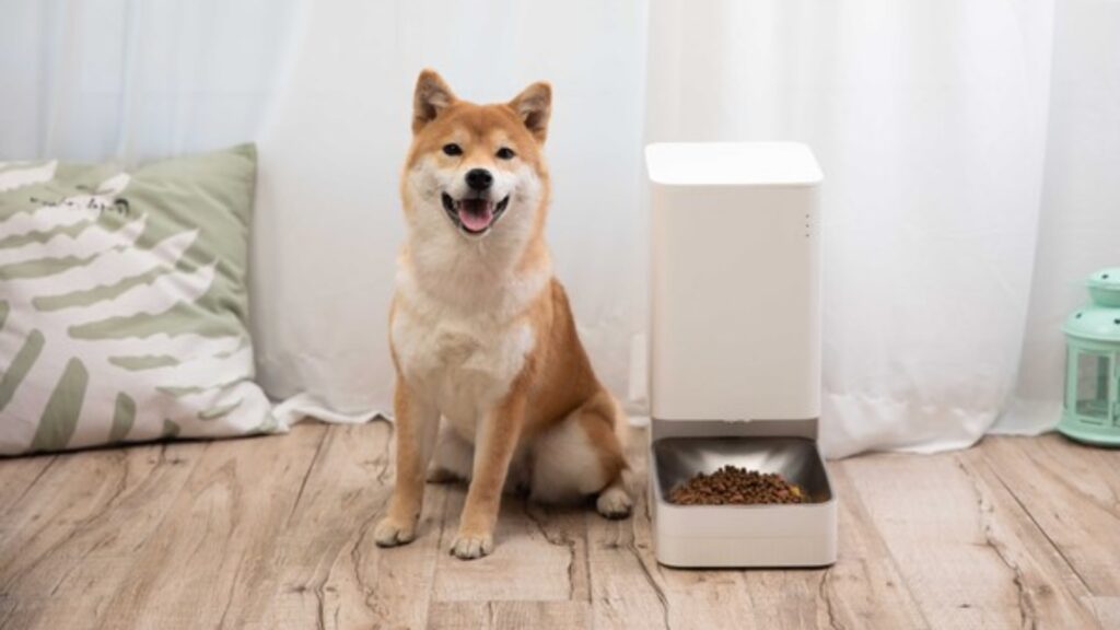 Cachorro do lado do alimentador inteligente para pet xiaomi