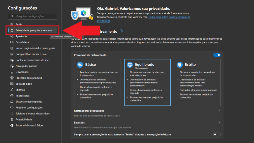 Selecione privacidade, pesquisa e serviços em seu navegador